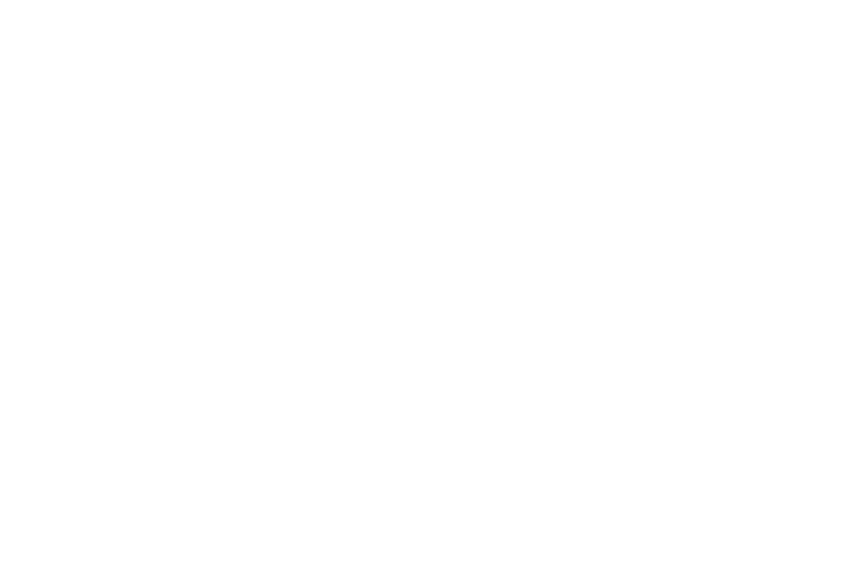 Logo Chris Tegethoff